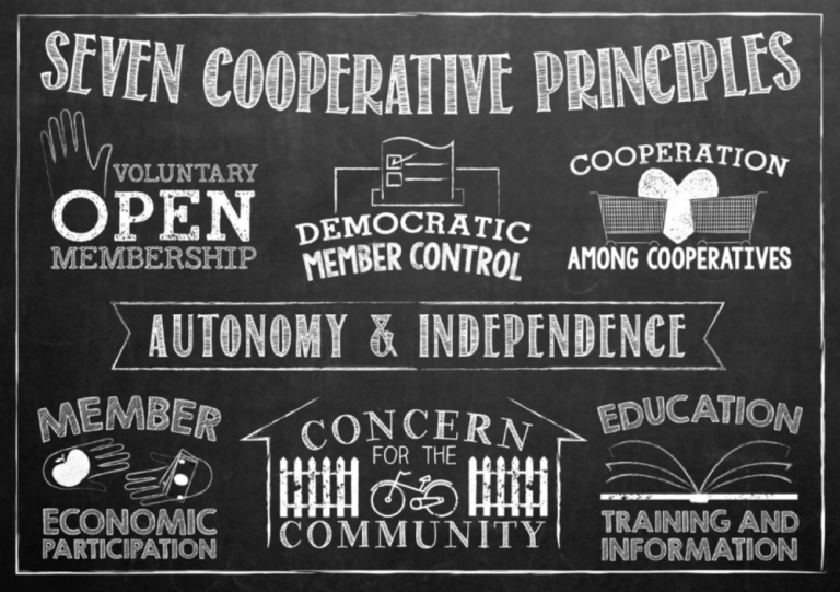 what-are-consumer-cooperatives-examples-business-jargons